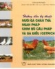 Cẩm nang hướng dẫn kỹ thuật nuôi gà chăn thả, ngan Pháp, chim bồ câu Pháp và đà điểu (Ostrich): Phần 1