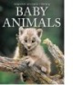 Ebook Snapshot - Picture - Library Baby animals