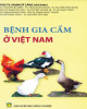 Ebook Bệnh gia cầm ở Việt Nam: Phần 1