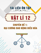 Tài liệu ôn tập Vật lí lớp 12: Chuyên đề 1 - Đại cương dao động điều hòa