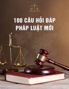 100 câu hỏi đáp pháp luật mới