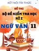 Đề thi học kì 1 môn Ngữ văn 11 Kết nối tri thức