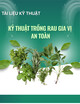 Tài liệu kỹ thuật Kỹ thuật trồng rau gia vị an toàn