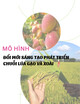 Mô hình đổi mới sáng tạo phát triển chuỗi giá trị lúa gạo và xoài - Đổi mới sáng tạo xanh là hướng đi tất yếu của nền nông nghiệp hiện đại