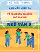 Văn mẫu lớp 6 - Kết nối tri thức - Tả cảnh sân trường giờ ra chơi
