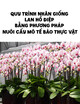 Quy trình nhân giống lan hồ điệp bằng phương pháp nuôi cấy mô tế bào thực vật