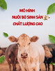 Mô hình nuôi bò sinh sản chất lượng cao