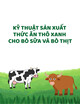 Kỹ thuật sản xuất thức ăn thô xanh cho bò sữa và bò thịt
