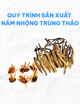 Quy trình sản xuất nấm nhộng trùng thảo