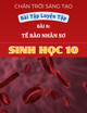 Bài Tập Luyện Tập Bài 8: Tế Bào Nhân Sơ - Sinh Học 10 - Chân Trời Sáng Tạo