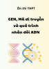 Ôn thi THPT - Gen, mã di truyền và quá trình nhân đôi ADN